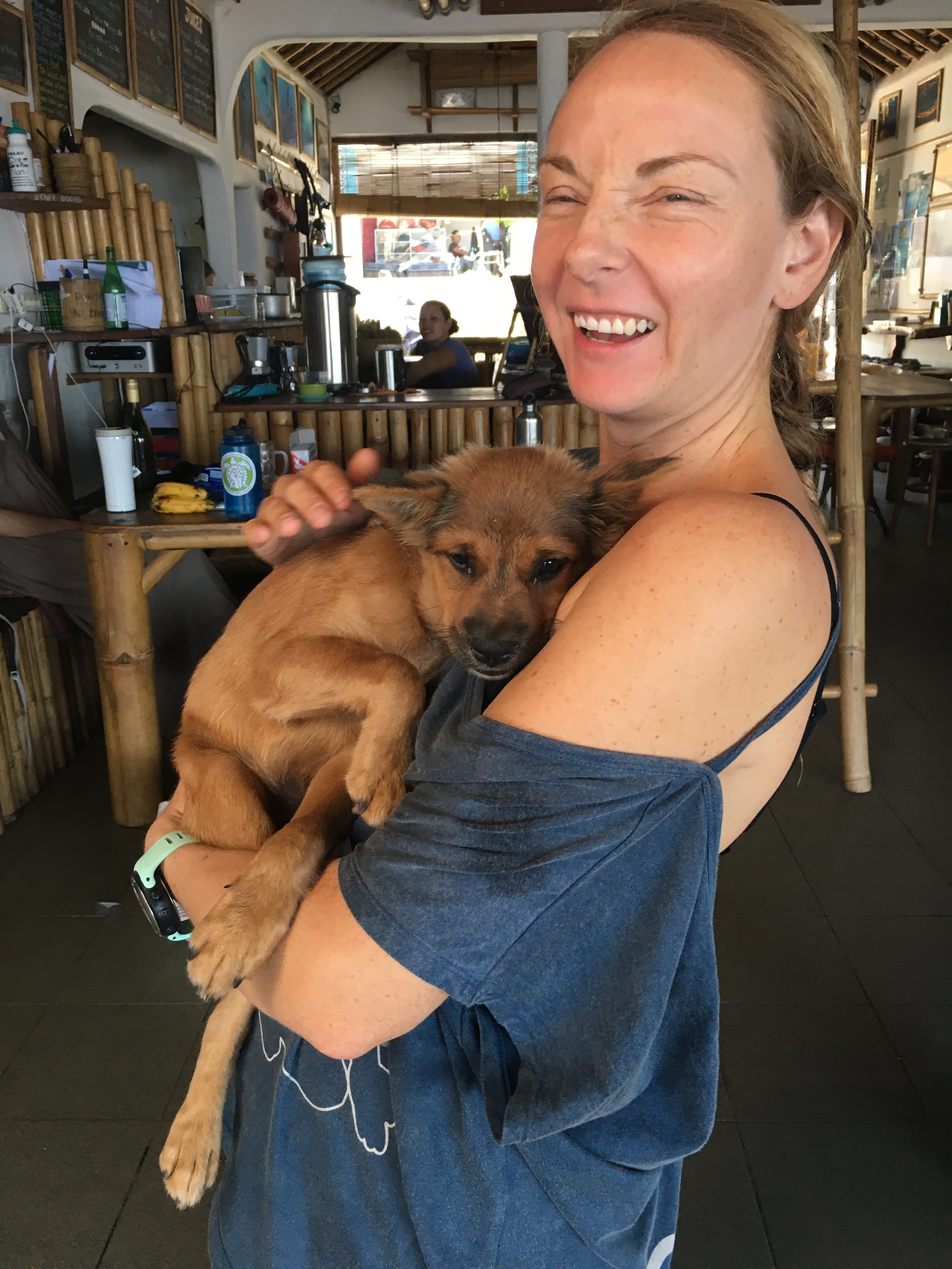 Cute puppy being cuddled in Apneista Amed Bali
